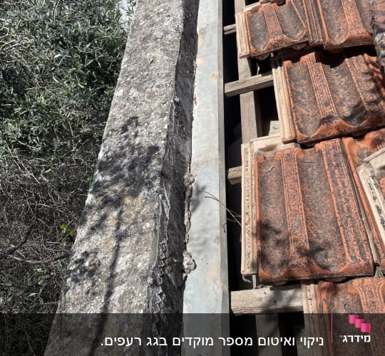 רעפים כתומים על גג עם קורות עץ
